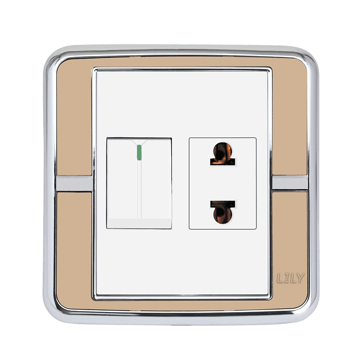 Lily 2 pin Socket