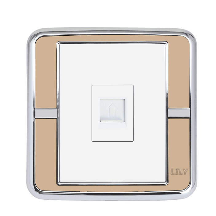 Lily Internet Socket