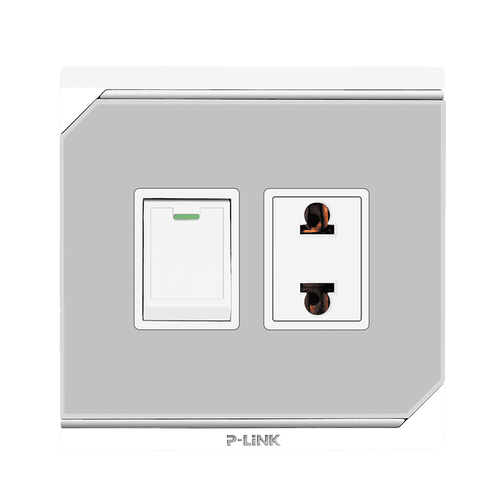 P-link 2 pin Socket with Switch