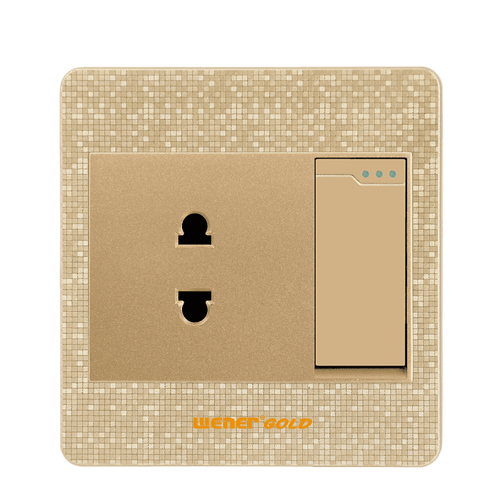 Wener Gold 2 pin socket with Switch