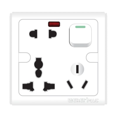 Wener Plus 6 pin Multi Socket