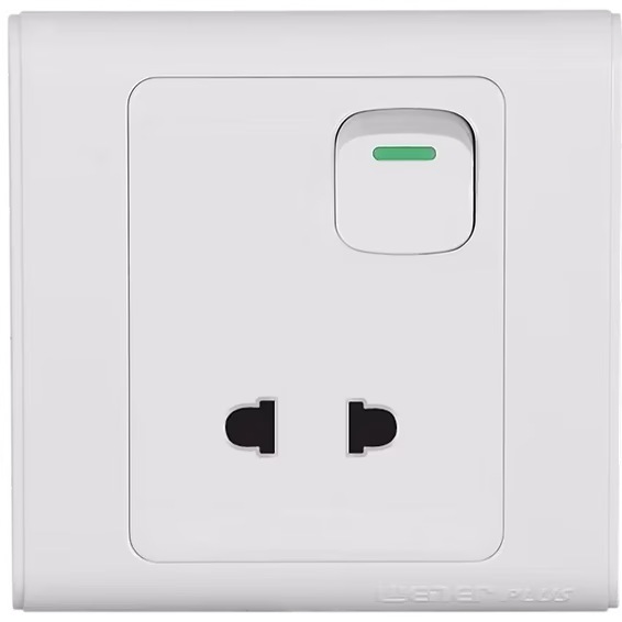 Wener Plus 2 pin Socket with switch